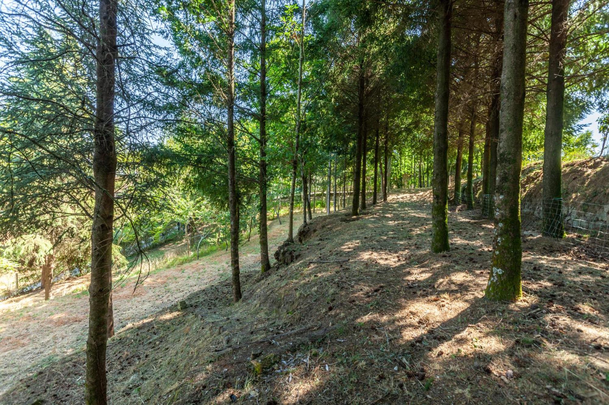 גימראייש Villas Prendal Eco Living - Minho'S Guest מראה חיצוני תמונה