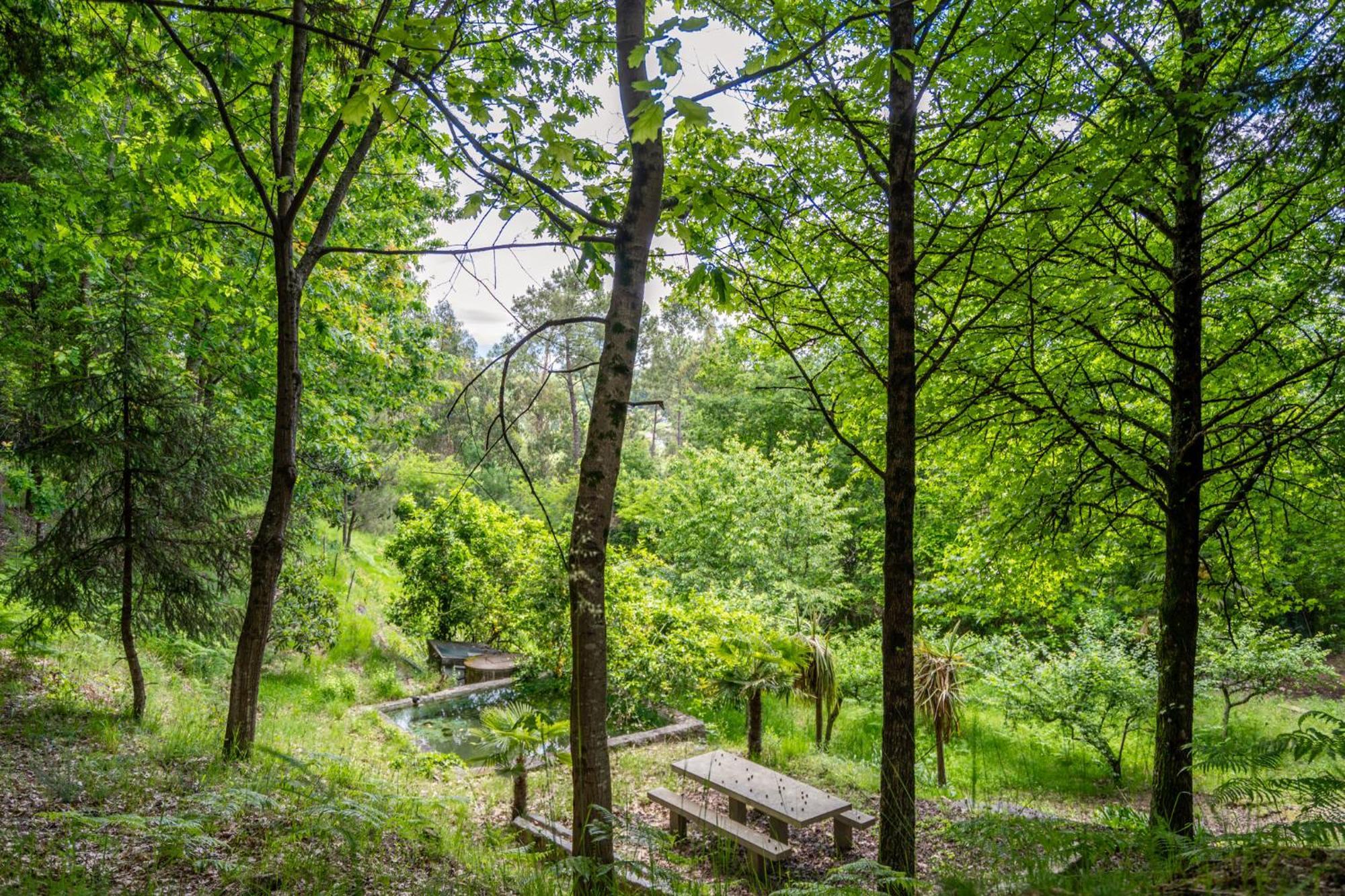 גימראייש Villas Prendal Eco Living - Minho'S Guest מראה חיצוני תמונה